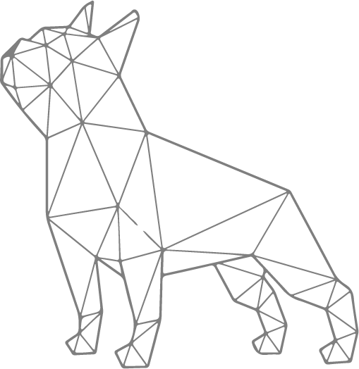 Imagiro